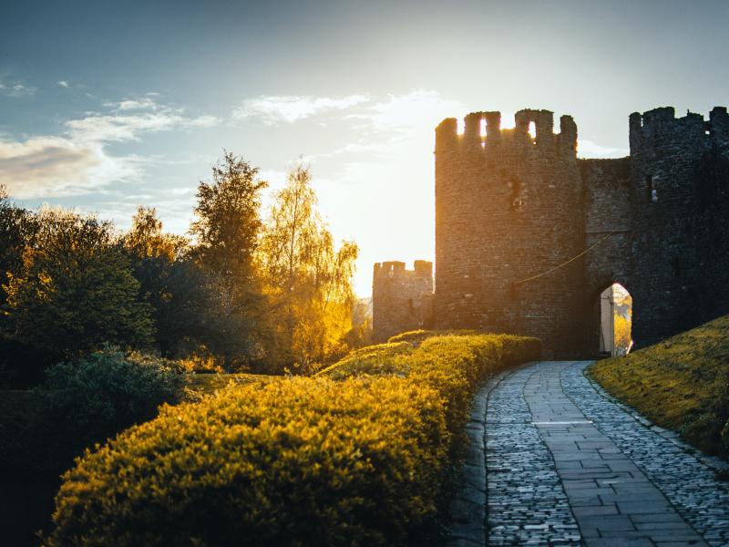 Le château de la Forge