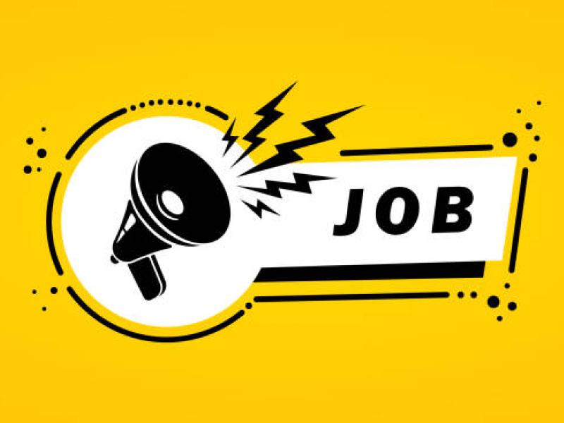 Offres d'emploi