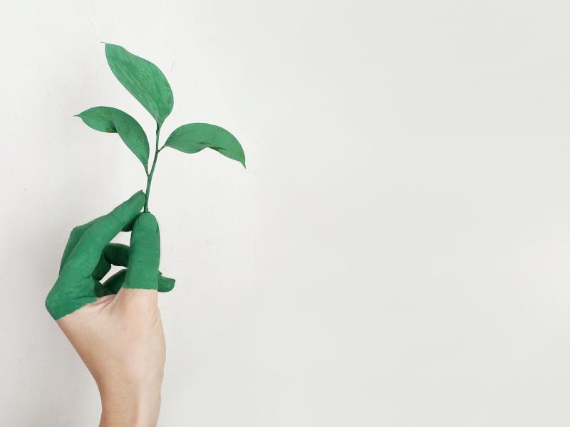 Le saviez-vous ? sur l'environnement