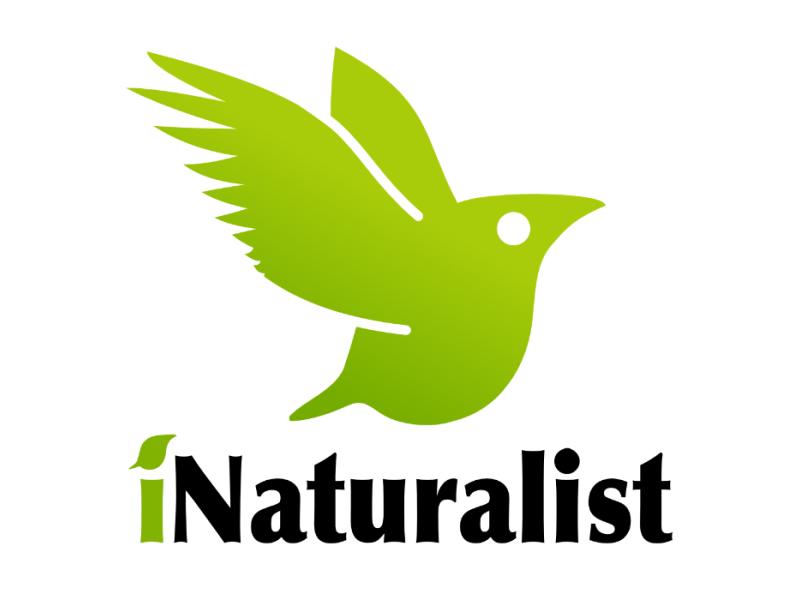 Appli Inaturalist