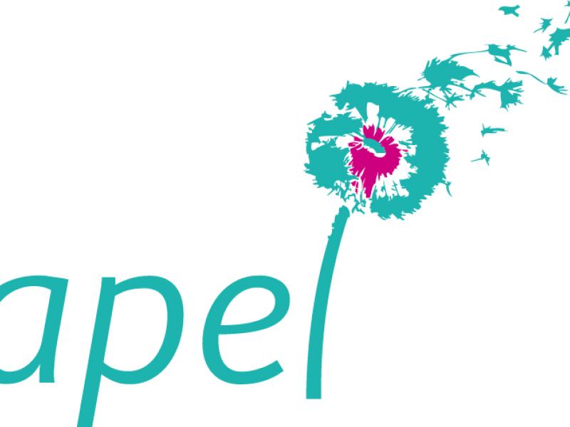 Association des Parents d'Élèves de l'Enseignement Libre