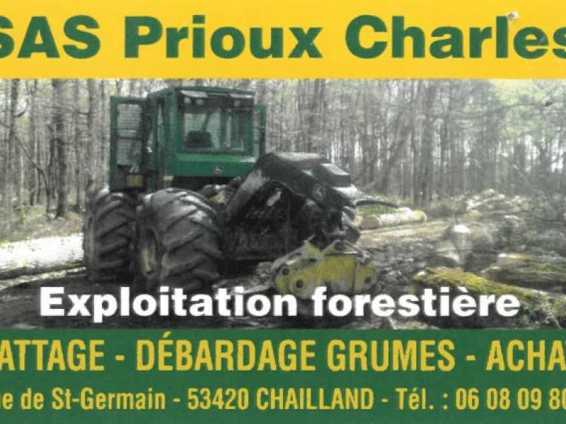 Prioux Charles SAS