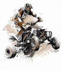 Quad